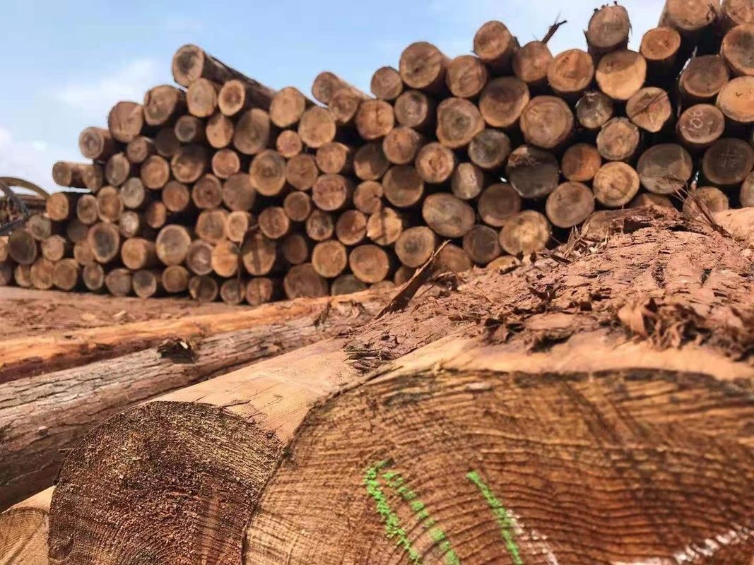 बगीचे की सजावट के लिए अनुकूलित आउटडोर देवदार की लकड़ी की बाड़, अच्छी स्थिरता