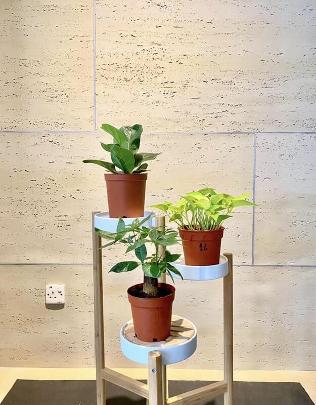 लचीली ट्रैवर्टीन शीट्स 3d ट्रैवर्टीन स्टोन पैनल लचीला आवरण Ms ट्रैवर्टीन लचीला बाहरी ईंटें