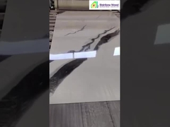 समाप्त यूवी संगमरमर शीट डिस्प्ले