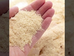 बांस_ लकड़ी_ लकड़ी_ लकड़ी_ लकड़ी_ लकड़ी_ लकड़ी_ लकड़ी_ लकड़ी_ लकड़ी_ लकड़ी_ लकड़ी_ लकड़ी